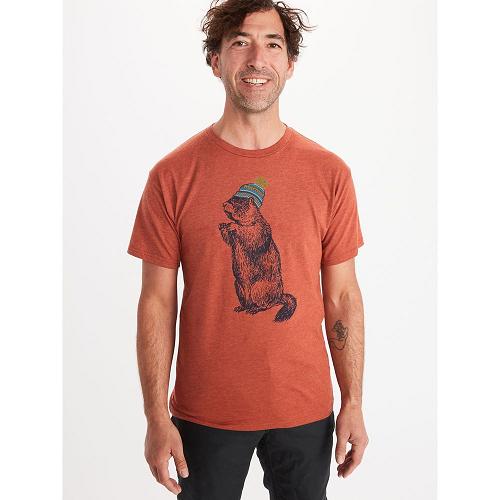 Marmot Pom Pom Clothes - Mens T-Shirts Multicolor CA7436982 Canada